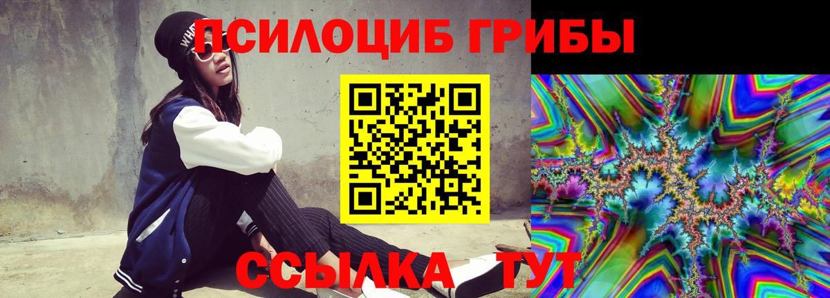 Норильск  Галлюциногенные грибы Cubensis  Галлюциногенные грибы Cubensis  Вход с VPN 